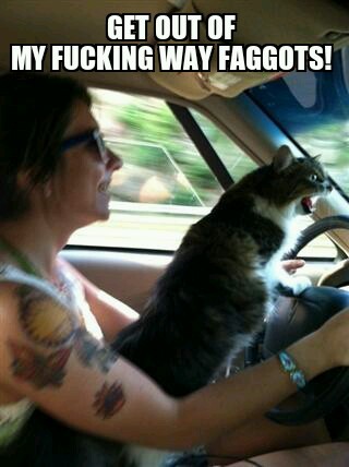 Road Cat - meme
