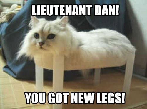 Lieutenant Dan - meme