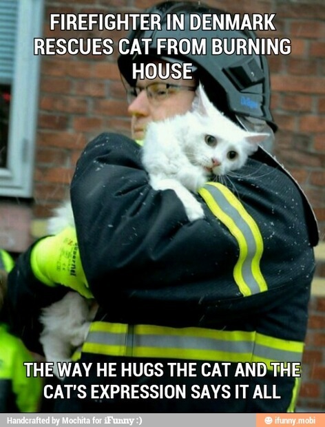 Kitty+Firefighter - meme