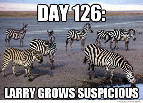 Undercover Zebra XD - meme