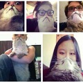 catbearding.  and you you'd seen everything stupid on the internet. cute and stupid. and they all look like grumpy old men.