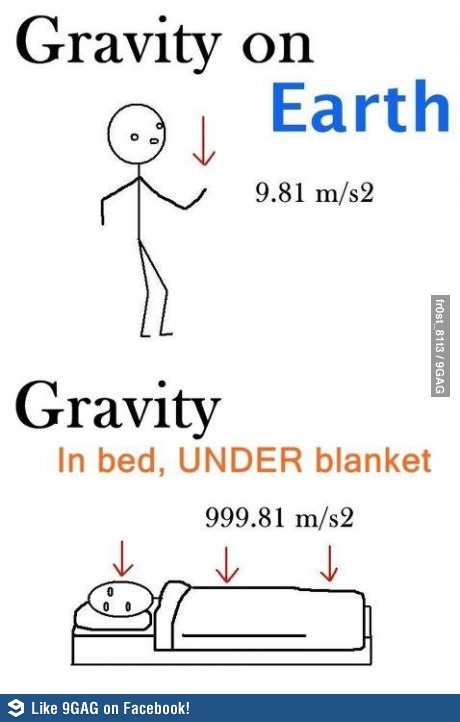 Gravity bug... - meme
