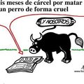 like si estas en contra de la matanza se toros