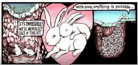 rabbit logic - meme