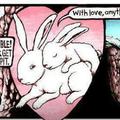 rabbit logic
