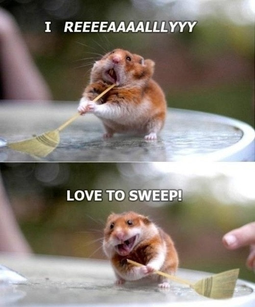 sweep away little dude! - meme