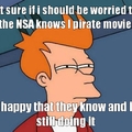 NSA is Gay