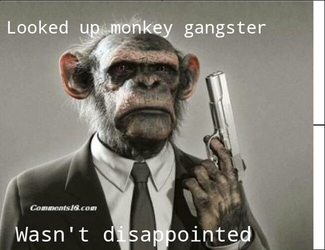 Monkey gangster - meme