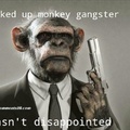Monkey gangster