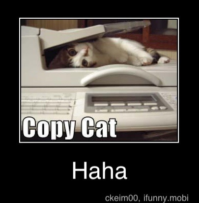 Copy cat - meme