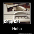 Copy cat