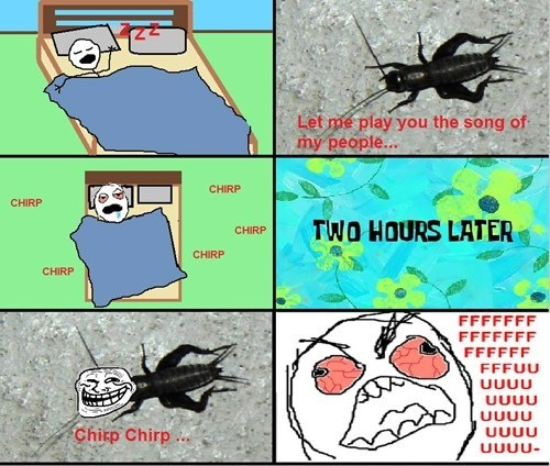 I hate them and mosquitoes too - meme