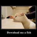 Download me a fish