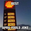 oh SHELL !!