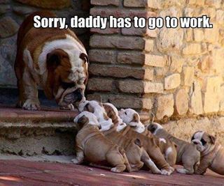 ;( cute puppys must say goodbye ;( - meme