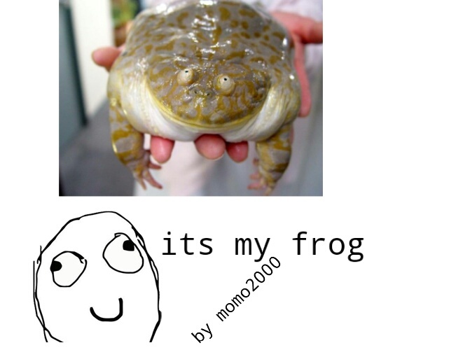 its my frog - meme
