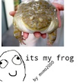 its my frog