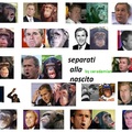 la scimmia e l'uomo