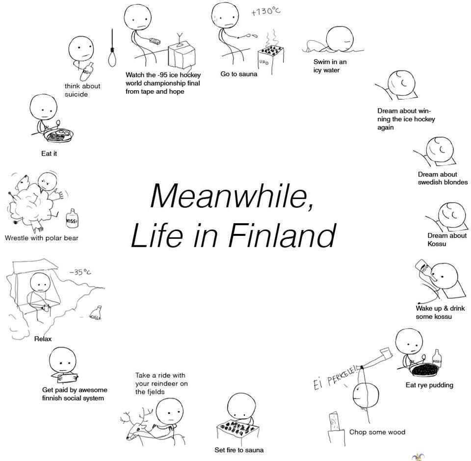 meanwhile in finland - meme