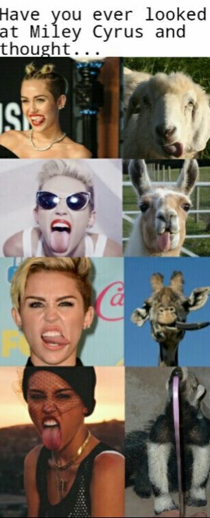 The tongues of Miley... what is going on here...?! - meme