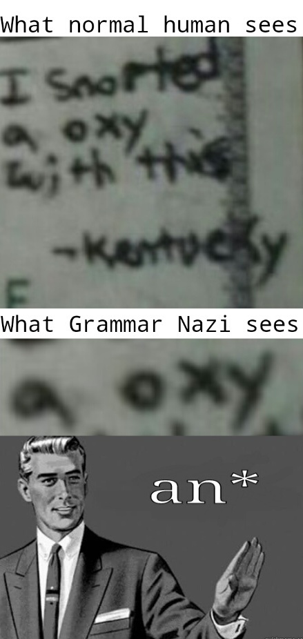 I'm not really good Grammar Nazi - meme