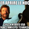 Chuck Norris I