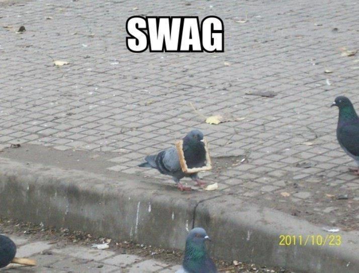 only acceptable form of swag - meme