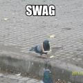 only acceptable form of swag