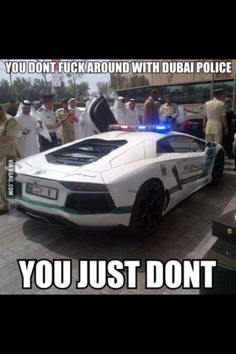 Dubai Police - meme