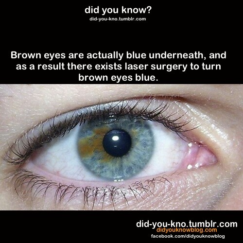 Just Imagine .. Blue Eyes ..Blue Eyes Everywhere - meme