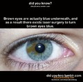 Just Imagine .. Blue Eyes ..Blue Eyes Everywhere
