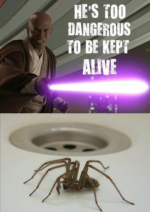 kill it with a lightsaber! - meme