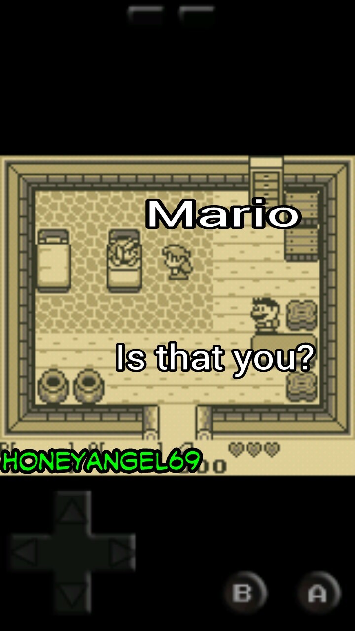 Mario in legend of Zelda - meme