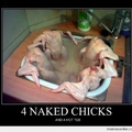 4 naked chicks in hot tub