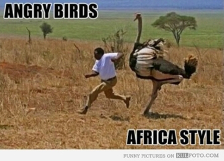 meanwhile in africa - meme