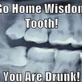 Wisdom teeth  -.-