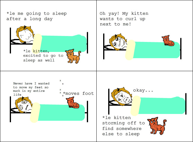 Every night I do this to my kitten and I feel awful - meme