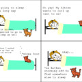 Every night I do this to my kitten and I feel awful