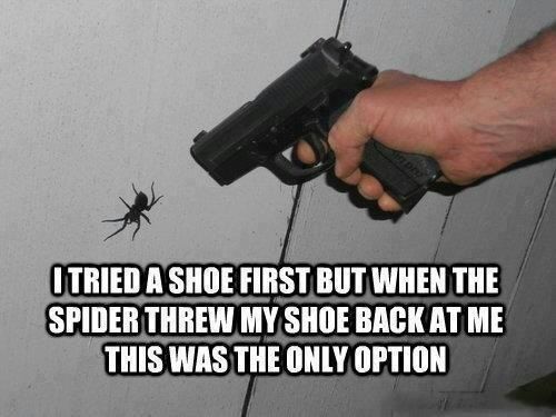 spider gun - meme