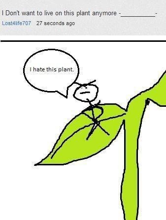 This plant sucks  - meme