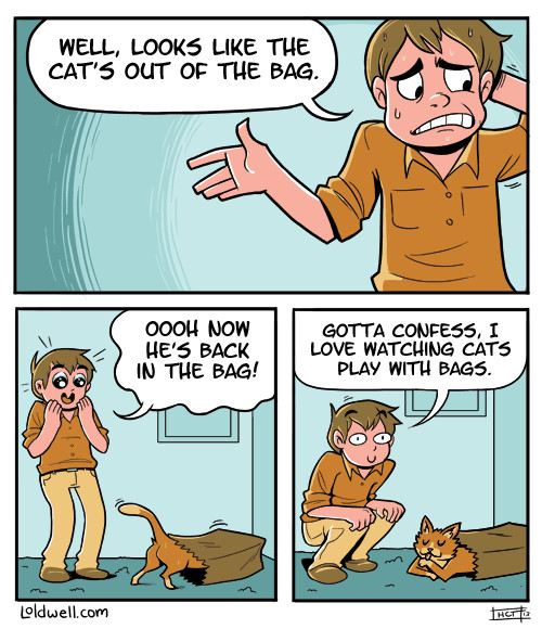 Cat's outta the bag - meme