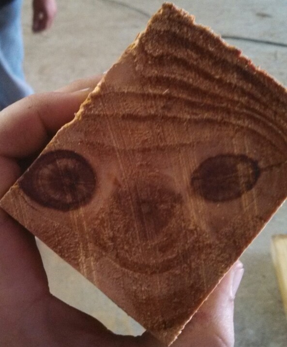 sloth wood - meme