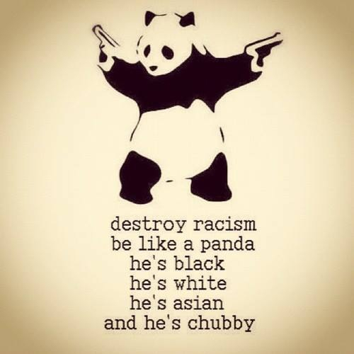 The panda has spoken - meme