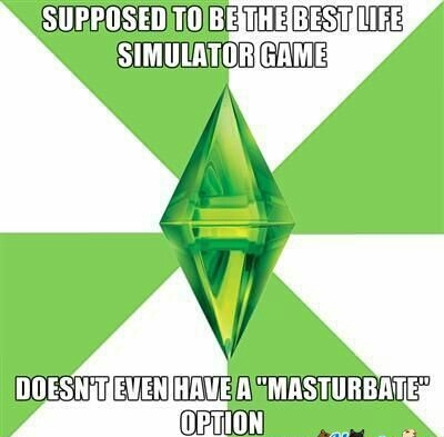 Sims 3 - meme
