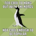socially average penguin 2