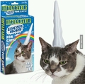 need this for my cat