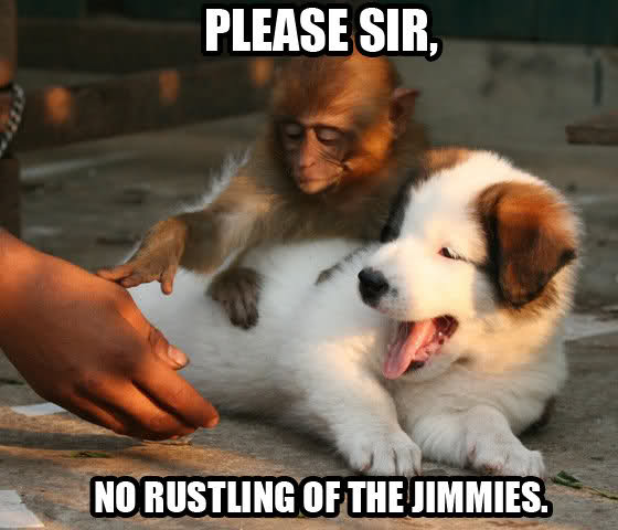 your jimmies.. rustle them. - meme