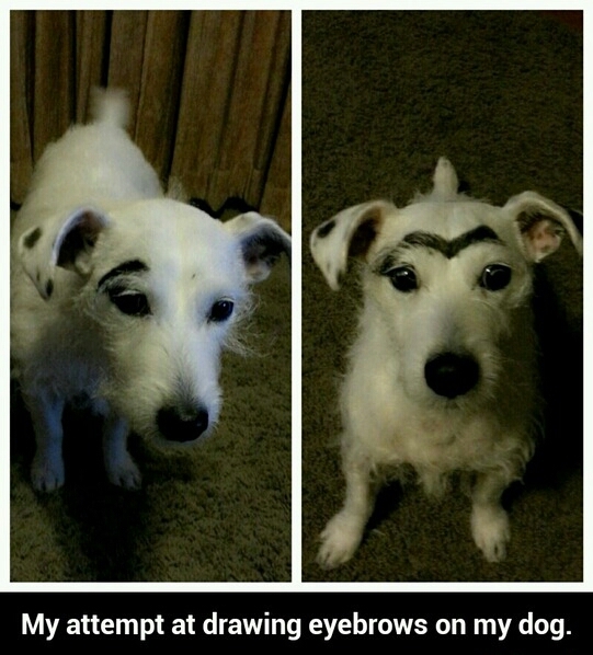 She already had an eyebrow but I worked with it :) - meme