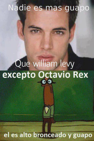 Octavio Rex  - meme