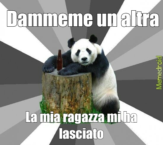 il panda - meme